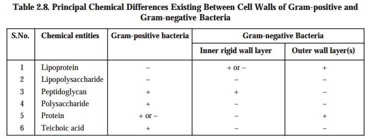 peptidoglycan structure in gram positive bacteria