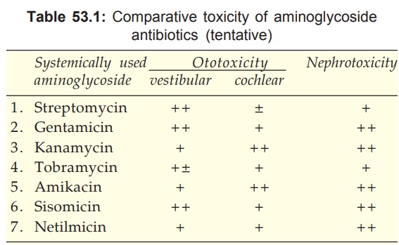 Aminoglycoside Antibiotics Properties Mechanism Of Action Mechanism Of Resistance Shared Toxicities Precautions And Interactions Uses Pharmacology