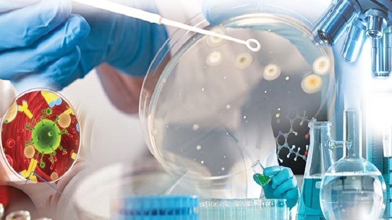 Pharmaceutical Microbiology Pharmacy Study Material Important 